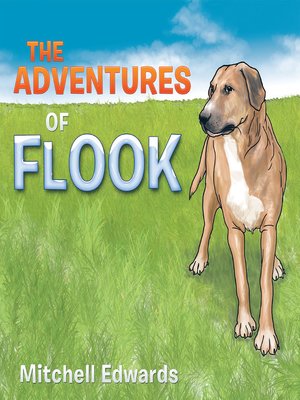 cover image of The Adventures of Flook